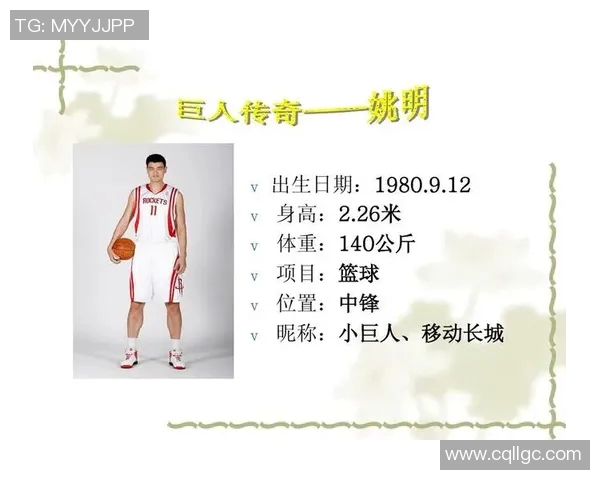 姚明的网名创意大全及其背后的故事与意义解析